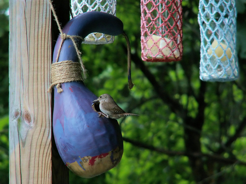 waste collection household